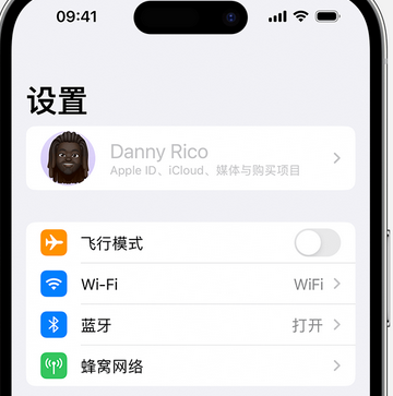 镇康appleID维修服务iPhone设置中Apple ID显示为灰色无法使用 