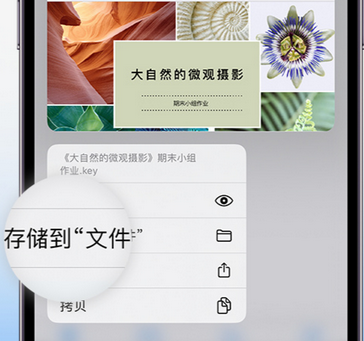 镇康apple维修中心分享iPhone文件应用中存储和找到下载文件