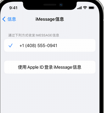 镇康apple维修iPhone上无法正常发送iMessage信息