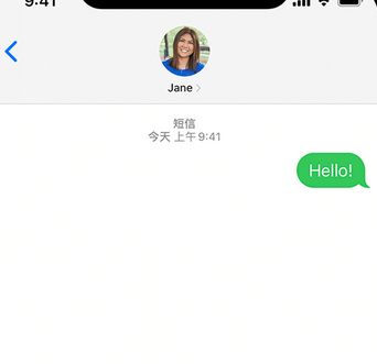 镇康apple维修iPhone上无法正常发送iMessage信息