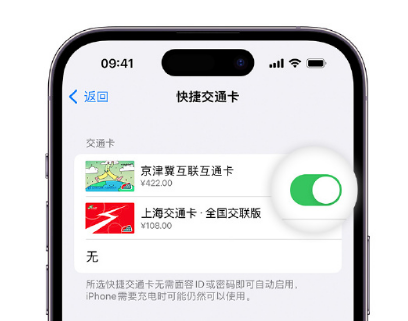 镇康apple维修点分享iPhone上更换Apple Pay快捷交通卡手绘卡面 