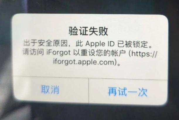 镇康iPhone维修分享iPhone上正常登录或使用AppleID怎么办 