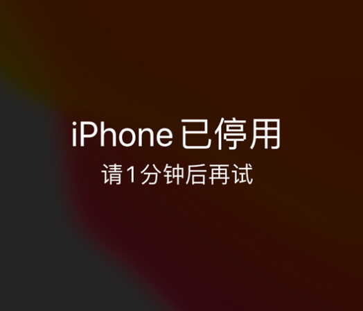 镇康苹果手机维修分享:iPhone 显示“不可用”或“已停用”怎么办？还能保留数据吗？ 