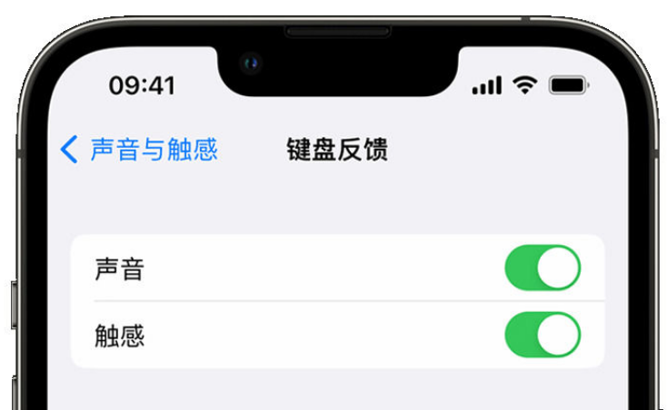 镇康苹果手机维修分享iPhone 14触感键盘使用方法 