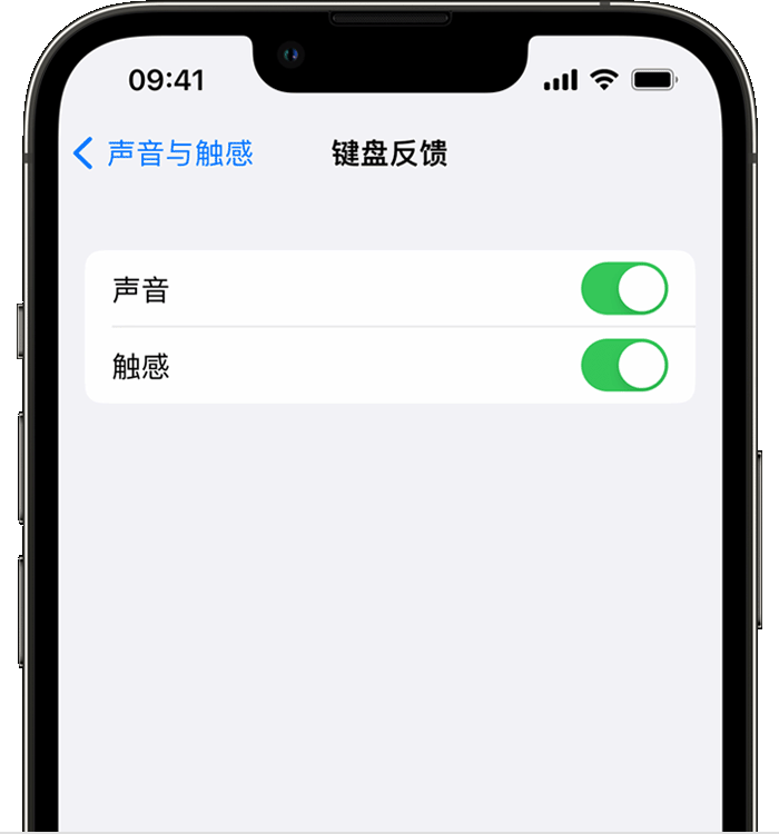 镇康苹果14维修店分享如何在 iPhone 14 机型中使用触感键盘 