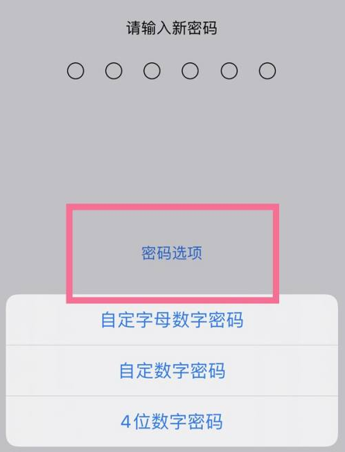 镇康苹果14维修分享iPhone 14plus设置密码的方法 