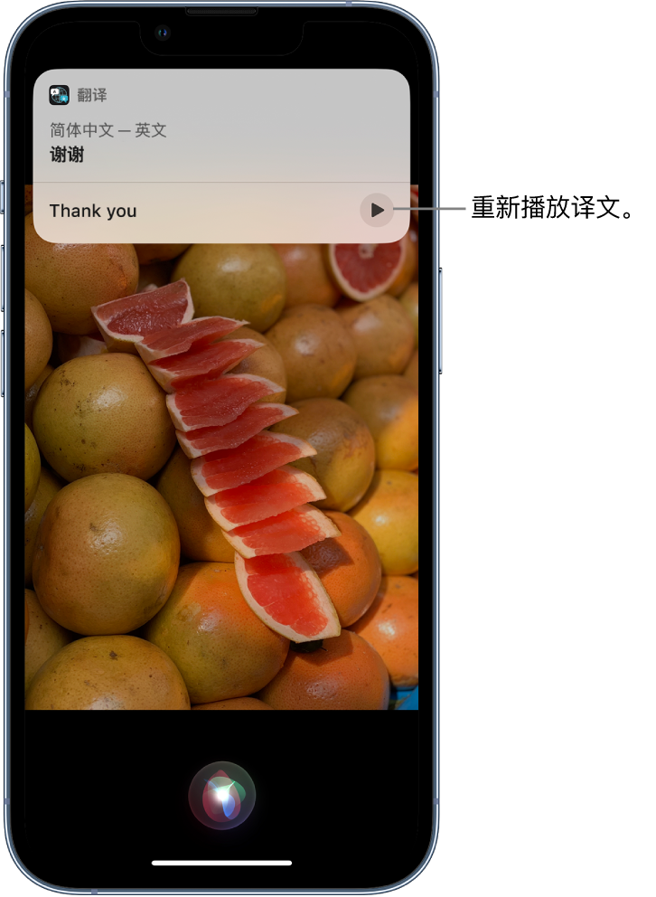 镇康苹果14维修分享 iPhone 14 机型中使用 Siri：了解 Siri 能帮你做什么 