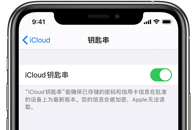 镇康苹果手机维修分享在 iPhone 上开启 iCloud 钥匙串之后会储存哪些信息 