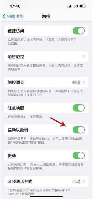 镇康苹果手机维修分享iPhone手机如何设置摇一摇删除文字 