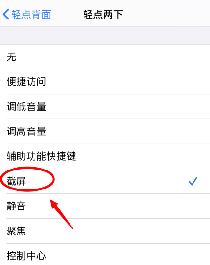 镇康苹果手机维修分享iPhone12如何启用双击截屏 