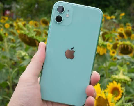 镇康苹果维修点分享iPhone 11锁屏密码认知与使用科普 